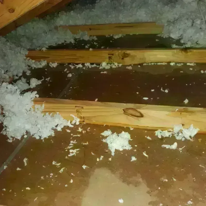 Attic Water Damage in Bethany, MO