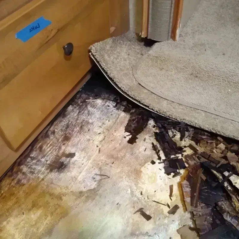 Wood Floor Water Damage in Bethany, MO